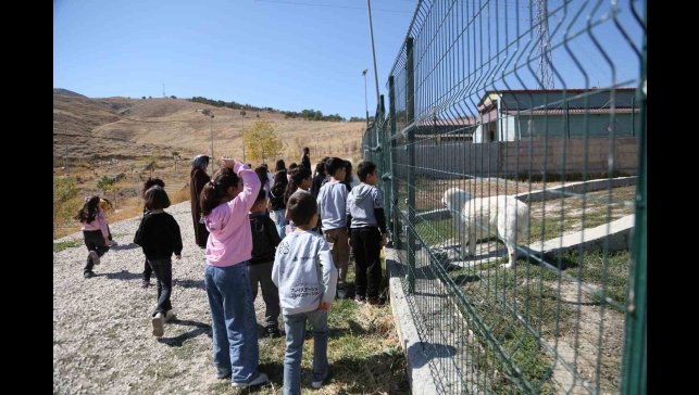 Minik öğrenciler patili dostlarını ziyaret etti