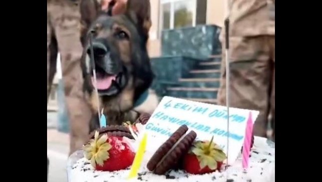 Jandarmadan 'can dostlara' özel kutlama