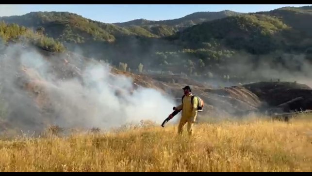 Bingöl'deki orman yangını kontrol altına alındı