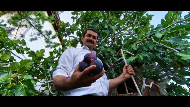 Bursa karası incirini Erzurum'da yetiştirdi