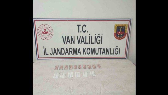 Van'da İran uyruklu şahsın üzerinden 160 adet uyuşturucu hap ele geçirildi