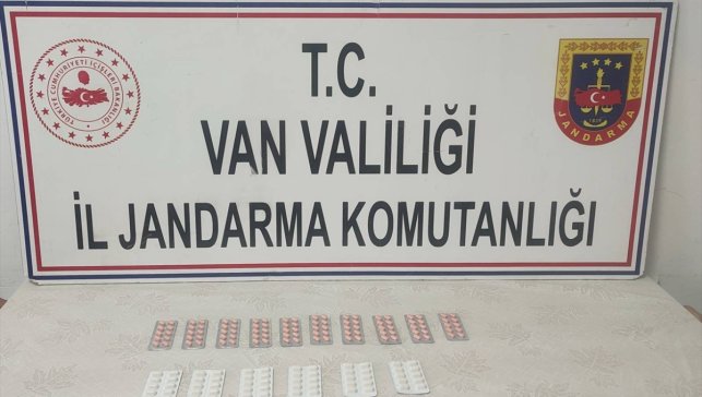 Van'da uyuşturucu hapla yakalanan İran uyruklu şüpheli tutuklandı