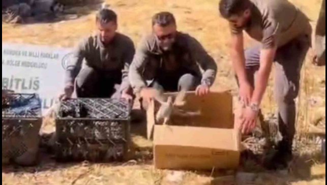 Bitlis'te Keklik ticaretine geçit verilmedi