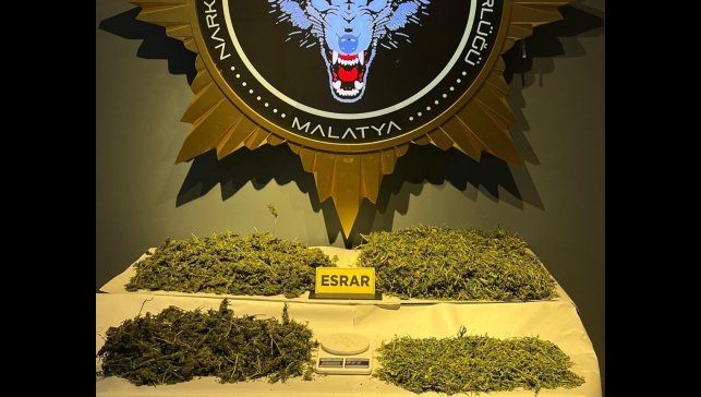 Malatya'da uyuşturucu operasyonu: 1 gözaltı