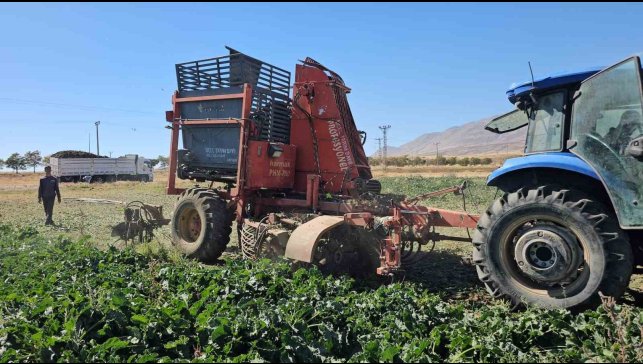 Tarımın kalbi Adilcevaz'da pancar sökümüne başlandı