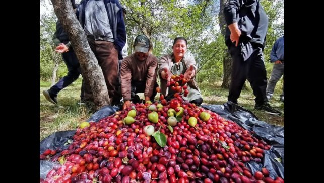 3.Çıldır Cancur Festivali Yapıldı