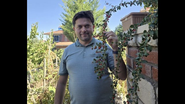 Van'da görevli doktor tropik meyve yetiştirdi