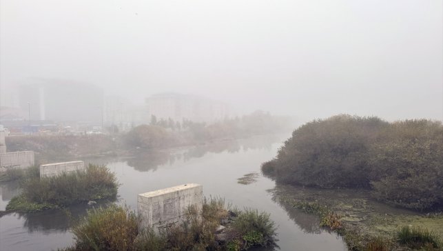 Ardahan'da sis etkili oldu