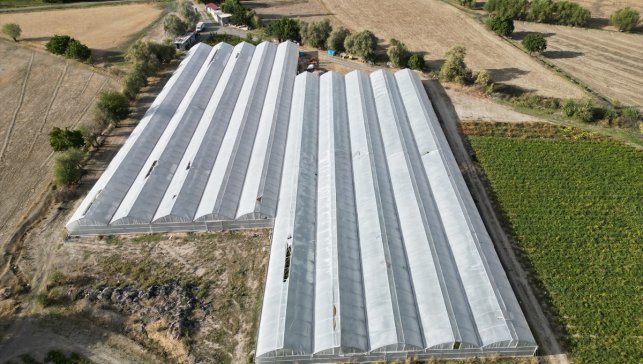 Erzincanlı Zeynep gündüz serada sebze akşam ise salonda sporcu yetiştiriyor