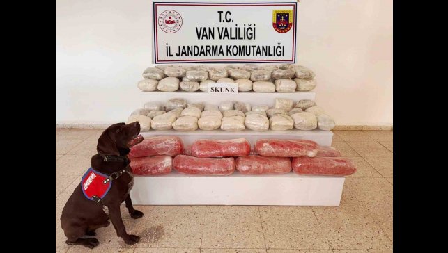 Van'da 61,9 kilogram skunk ele geçirildi