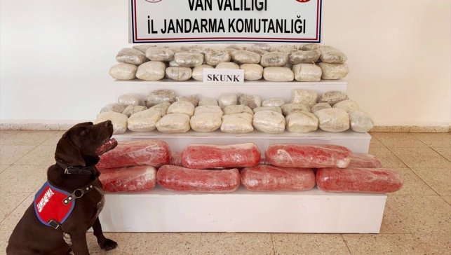 Van'da 61 kilo 900 gram skunk ele geçirildi