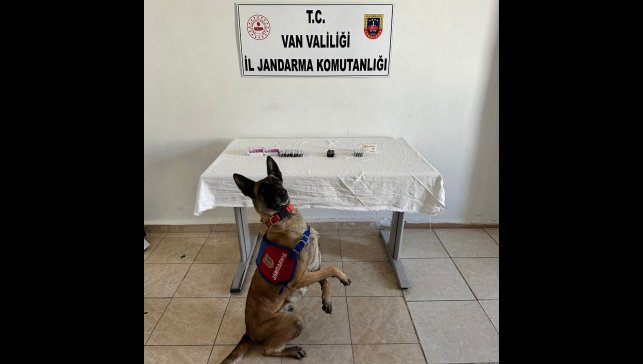 Van'da İran uyruklu şahsın üzerinden 380 adet sentetik hap ele geçirildi