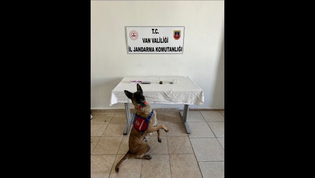 Van'da İran uyruklu şüphelinin üstünde 380 sentetik hap ele geçirildi