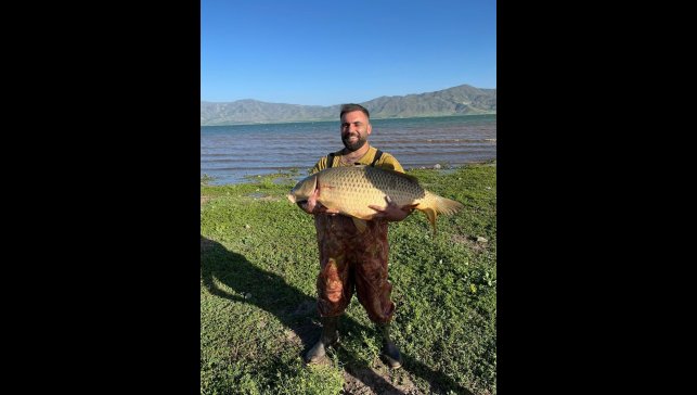 Elazığ'da amatör balıkçı 32 kiloluk dev sazan yakaladı