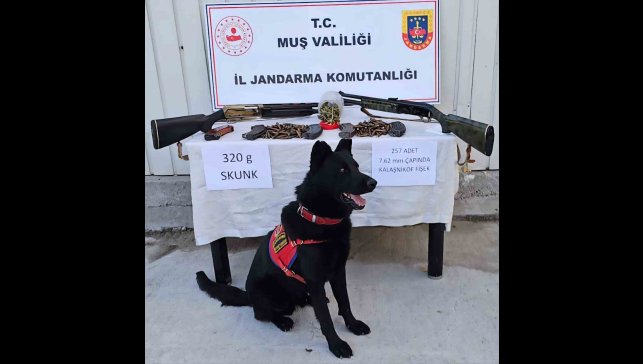 Muş'ta jandarmadan uyuşturucu ve silah operasyonu