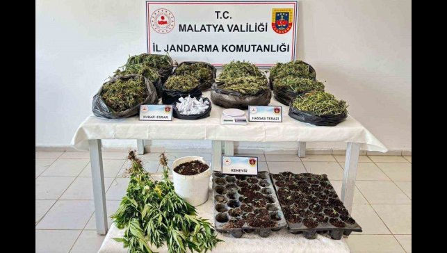 Malatya'da 13 kilo esrar ele geçirildi: 5 şahıs tutuklandı