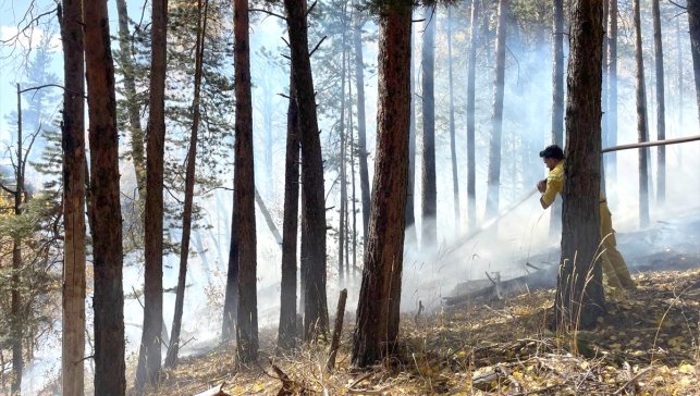 Sarıkamış'ta çıkan orman yangınında yaklaşık 1,5 hektar alan zarar gördü