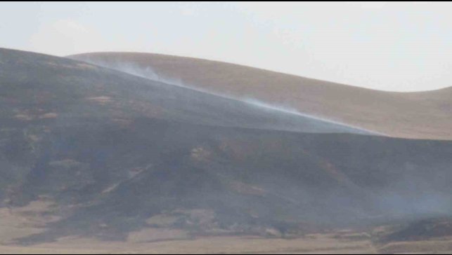 Kars'ta anız yangını