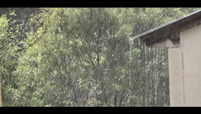 Tunceli'de sağanak yağış etkili oldu