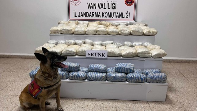 Van'da 47 kilo 800 gram skunk ele geçirildi