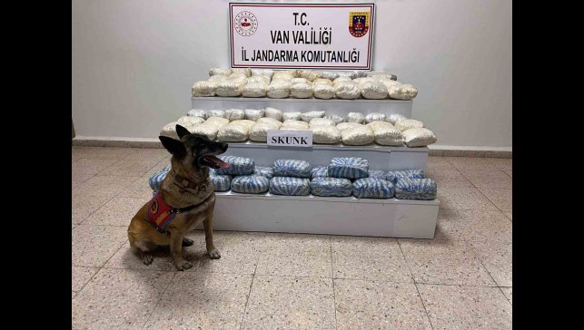 Van'da 47 kilo skunk ele geçirildi
