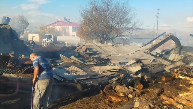 Ardahan'da ahırda çıkan yangında 23 hayvan telef oldu