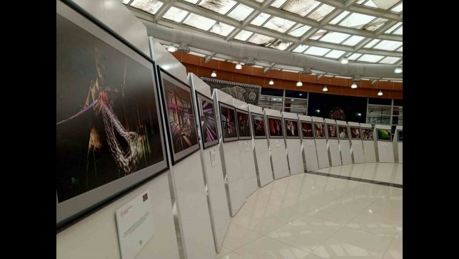 Kutnu Kumaş sergisi ziyaretçilerini Osmanlı modasına götürüyor