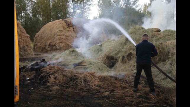Van'da bin bağ ot yandı
