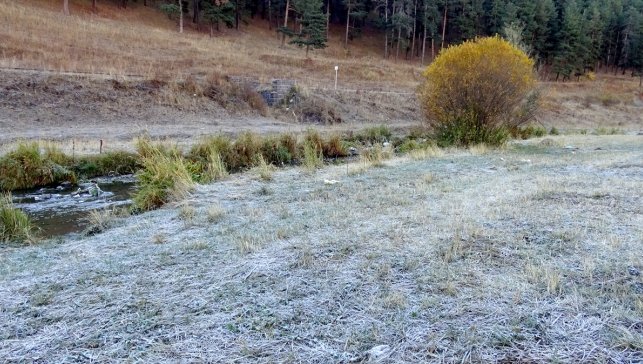 Sarıkamış'ta araç camları ve bitkiler kırağı tuttu