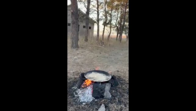 Kars'ta tilkiler yerleşim yerlerinde cirit atıyor