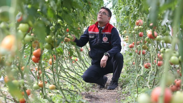 Kars'ta ziraat mühendislerinin oluşturduğu sera vatandaşlara ilham oldu