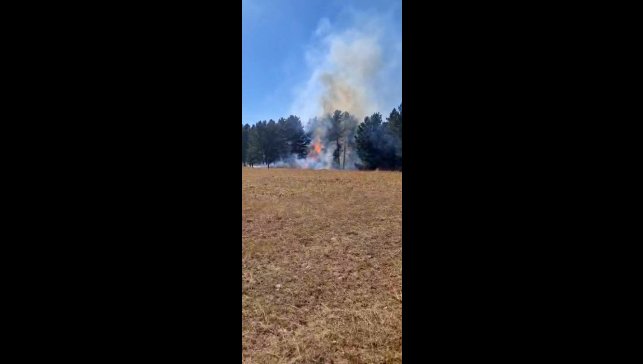 Sarıkamış ormanlarında örtü yangını