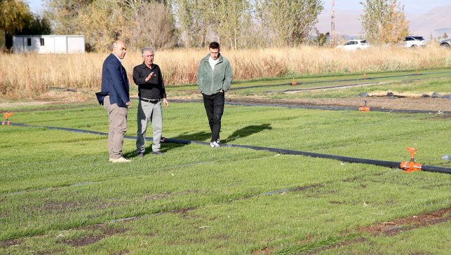 Topraksız rulo çim üretim yöntemiyle verimli tarım arazilerinin kaybolmasının önlenmesi hedefleniyor