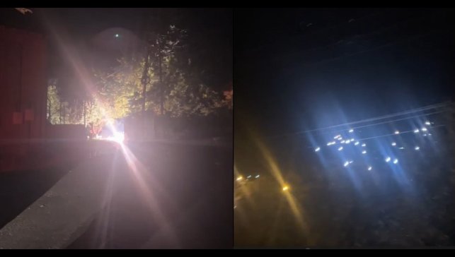 Hakkari'de kopan elektrik telleri korkuttu