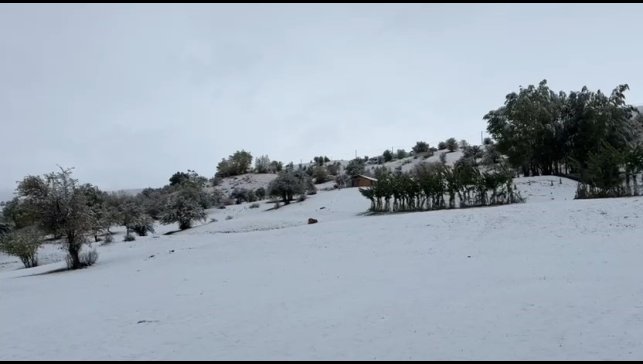 Bingöl'ün yüksek kesimlerine mevsimin ilk karı yağdı