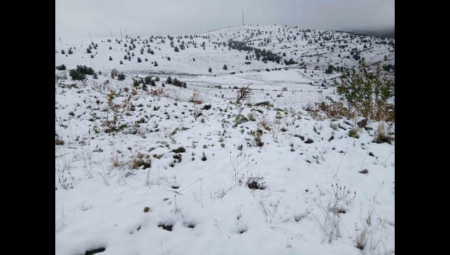 Posof'ta kar yağışı etkili oldu