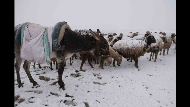Göçerler kara yaylada yakalandı