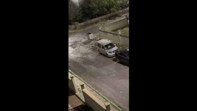 Kurt kent merkezine indi