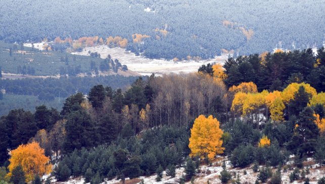 Kar ve sonbahar renklerinin bütünleştiği Sarıkamış'ta güzel manzaralar oluştu
