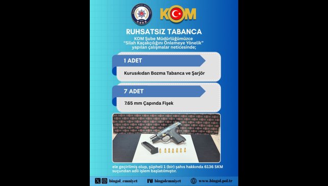 Bingöl'de ruhsatsız silah ve tüfekler ele geçirildi