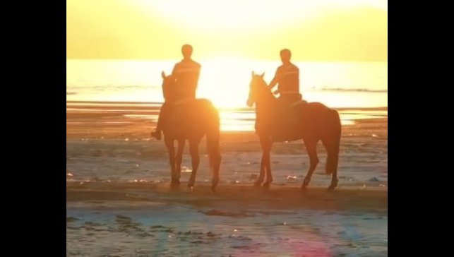 Van Gölü kıyılarında atlı jandarma nöbeti