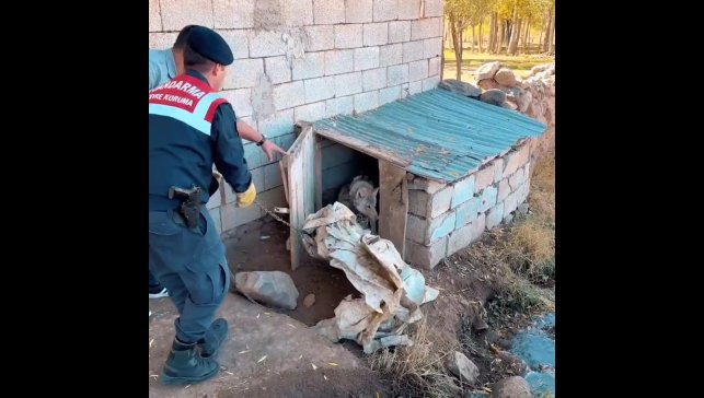 Van'da kurdu zincirle bağlayan şahsa 81 bin 355 TL para cezası