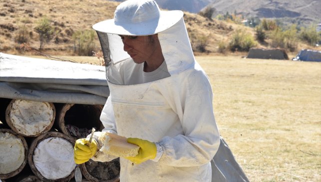 Bitlis'teki yaylalarda üretilen karakovan balının hasadına başlandı