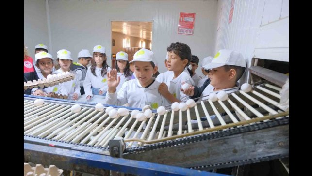 Muş'ta "kooperatifçilik" temalı tarım kampı düzenlendi