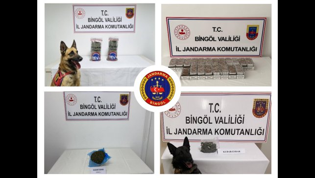 Bingöl'de jandarma ekipleri huzur ve güven için sahada