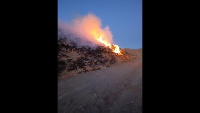 Hizan'da çıkan anız yangını söndürüldü