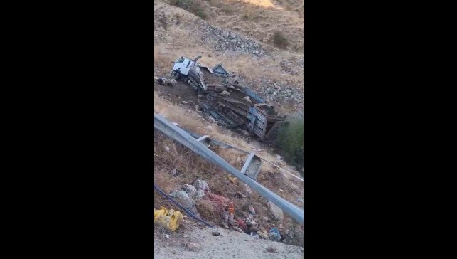 Bingöl'de hayvan taşıyan kamyon şarampole yuvarlandı: 2 yaralı, çok sayıda küçükbaş telef oldu