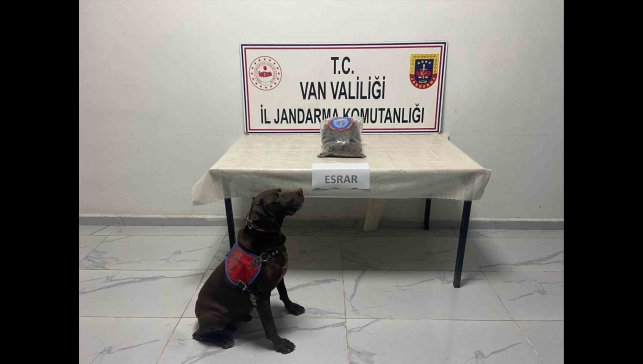 Hakkari'de kubar esrar ele geçirildi