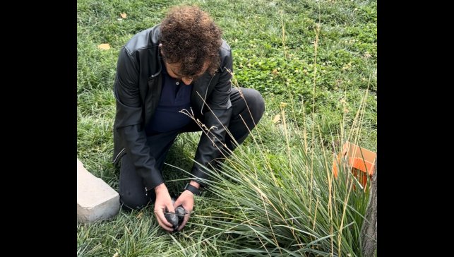 Öğretmenin fark ettiği yaralı güvercin kurtarıldı