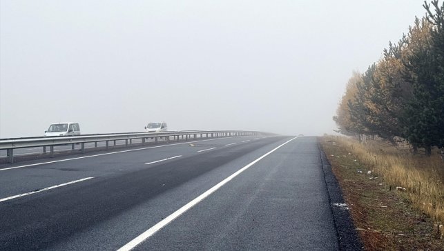 Ardahan'da sis etkili oldu